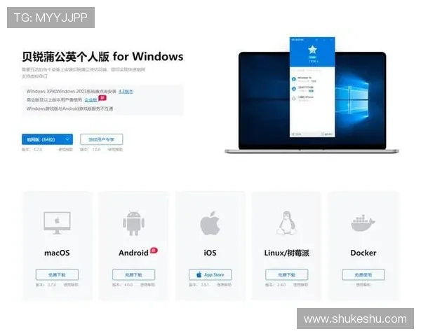 探索开云在线登录的不同方式，让用户随时随地轻松访问账户